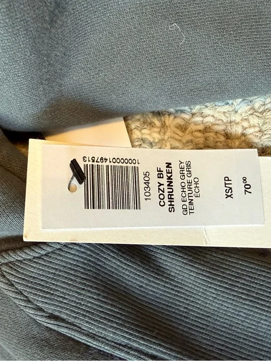 NWT Aritzia Dark Gray Cropped Hoodie & Jogger Sweat Set - Picture 4 of 7